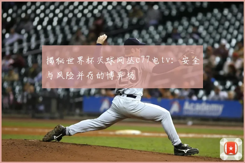 揭秘世界杯买球网丛c77电tv：安全与风险并存的博弈场