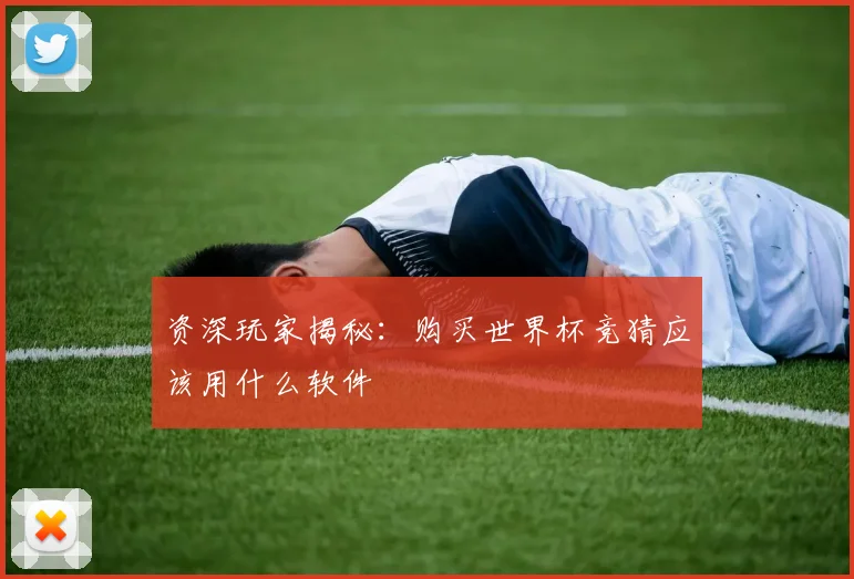 资深玩家揭秘:购买世界杯竞猜应该用什么软件