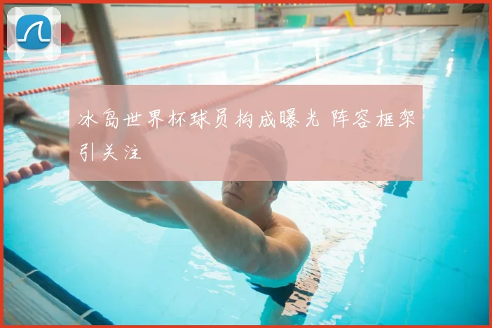 冰岛世界杯球员构成曝光 阵容框架引关注