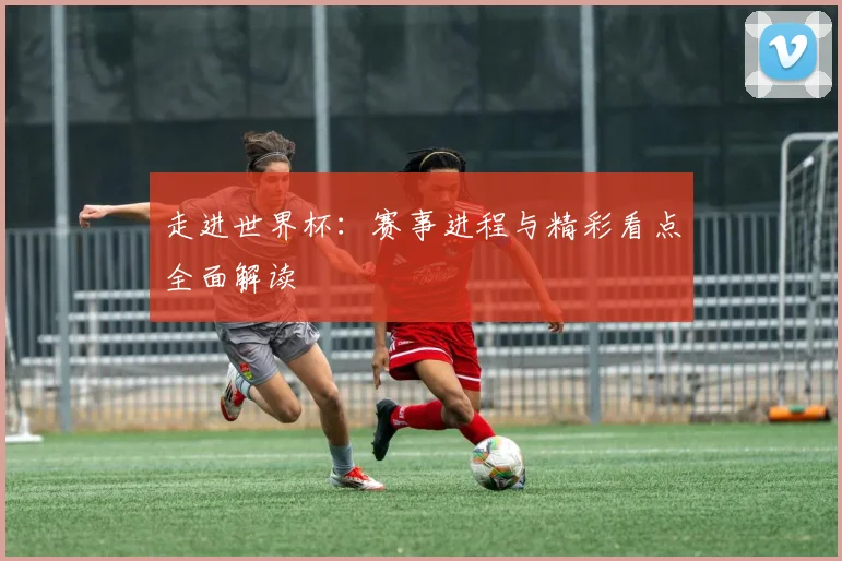 走进世界杯：赛事进程与精彩看点全面解读
